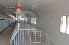 PVC Wall Panels