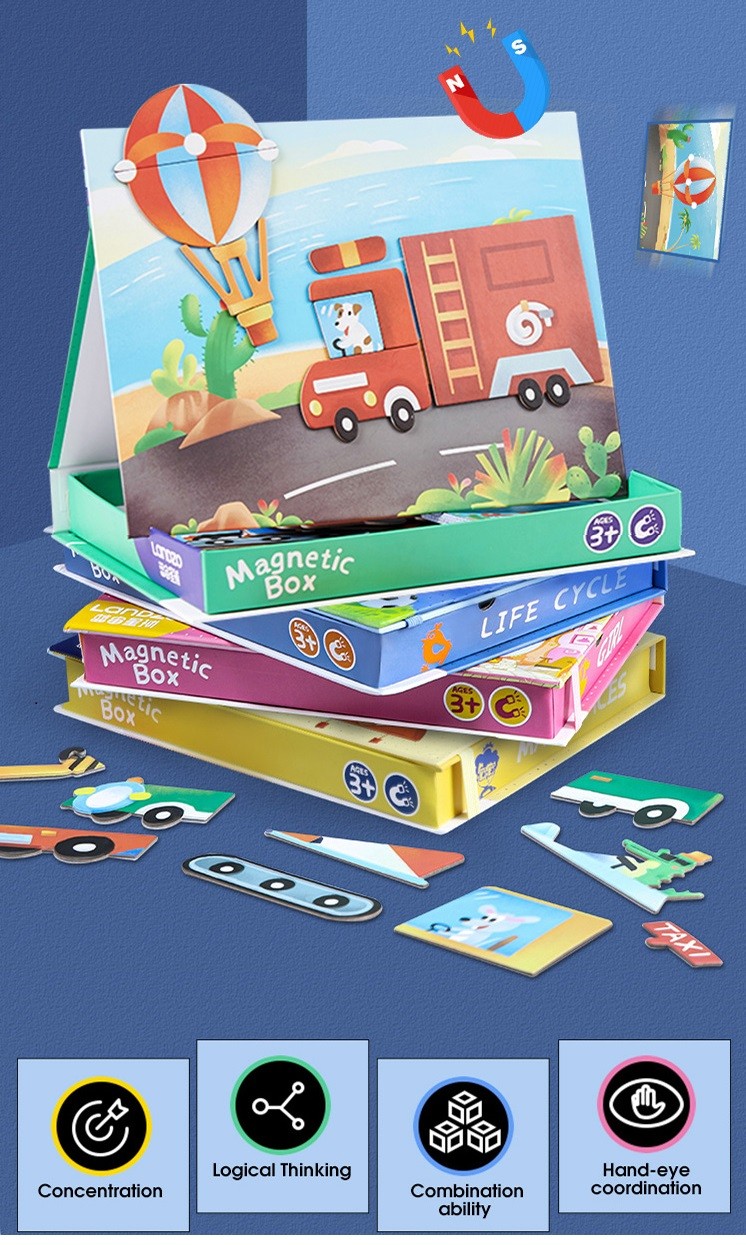 logic training puzzle toys