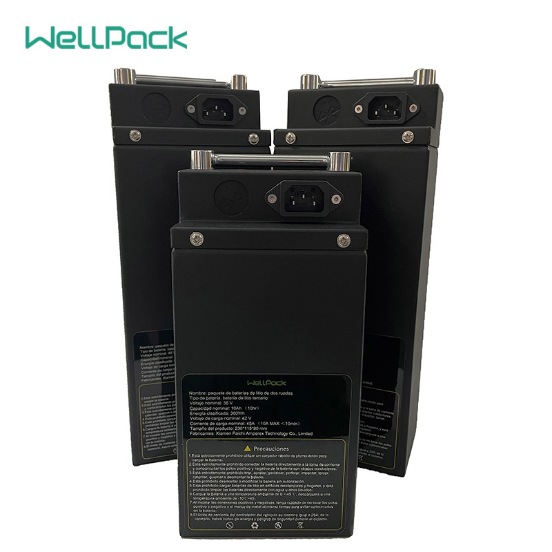 36V10Ah best electric bicycle removable battery