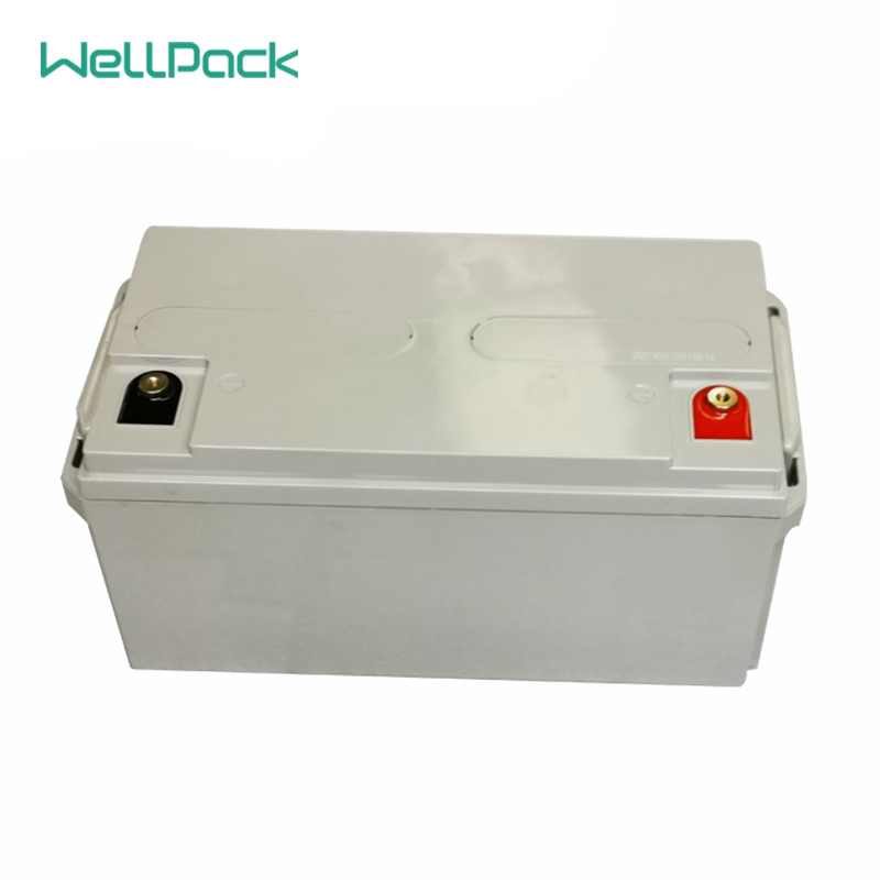 Batería SAI 12V65Ah