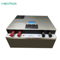 LFP便携式储能电源电池组