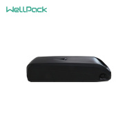 24V36V48V折叠电动自行车单车锂电池