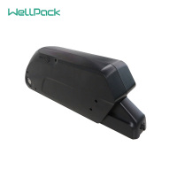 24V36V48V折叠电动自行车单车锂电池