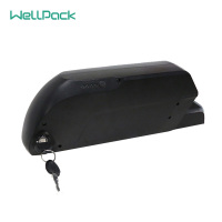 48V10Ah电动自行车电池