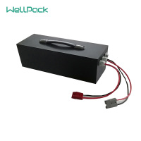 Pack de batteries de chariot élévateur en gros avec panneau de protection