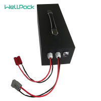 Pack de batteries de chariot élévateur en gros avec panneau de protection