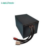 Bateria industrial de empilhadeira de íon de lítio 48V60Ah