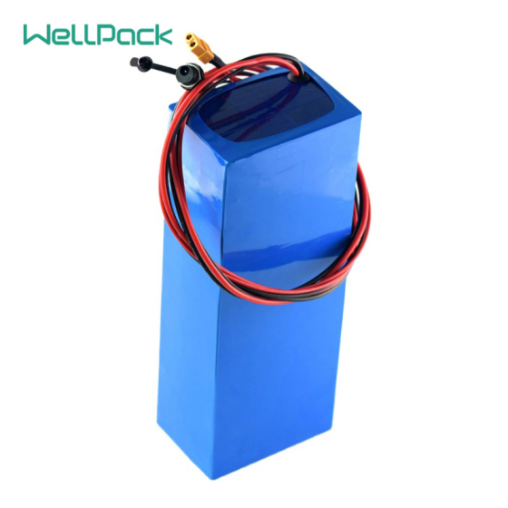 热销定制24V10Ah电动自行车或电动滑板车