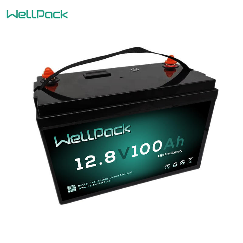 Batteria UPS per bici elettrica 12,8 V 100 Ah (batteria sostitutiva al piombo)