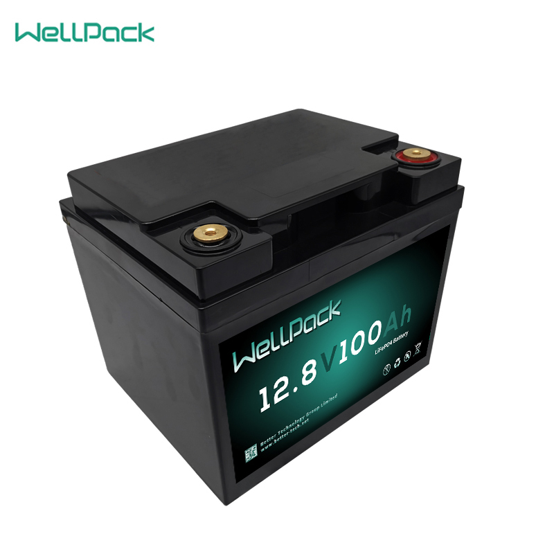 Batteria UPS per bici elettrica 12,8 V 100 Ah (batteria sostitutiva al piombo)