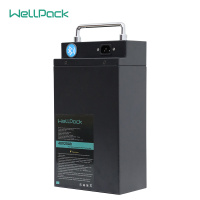 electric bike lithium iron phosphate battery 48V20Ah