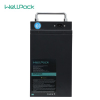 electric bike lithium iron phosphate battery 48V20Ah