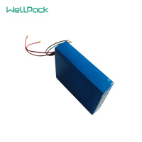 11.1V50Ah玩具磷酸铁锂电池