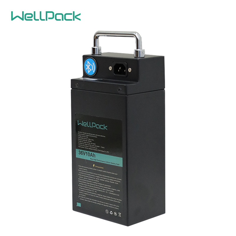 36V10Ah electric bike lithium ion battery pack