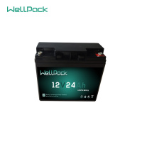 12V24Ah replacing lead acid with lithium ion motorcycle battery