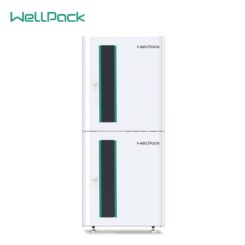 Sistema de almacenamiento de batería de litio solar para el hogar Wellpack Home T20