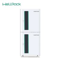 Wellpack Home T20家用太阳能锂电池储能系统