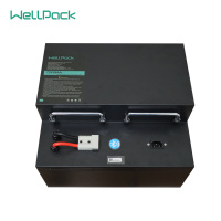 DIY LiFePO4 电池 锂电池组