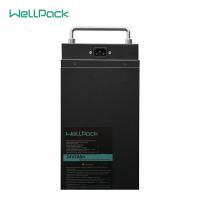 DIY LiFePO4 电池 锂电池组