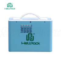 the best lifepo4 battery portable power station with solar panels (WPP300)