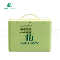 the best lifepo4 battery portable power station with solar panels (WPP300)