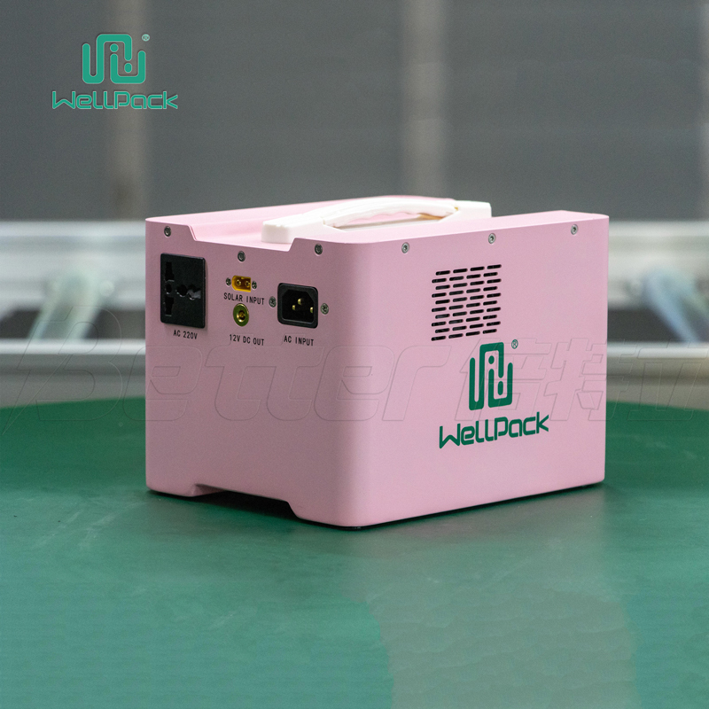 the best lifepo4 battery portable power station with solar panels (WPP300)