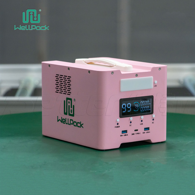 the best lifepo4 battery portable power station with solar panels (WPP300)