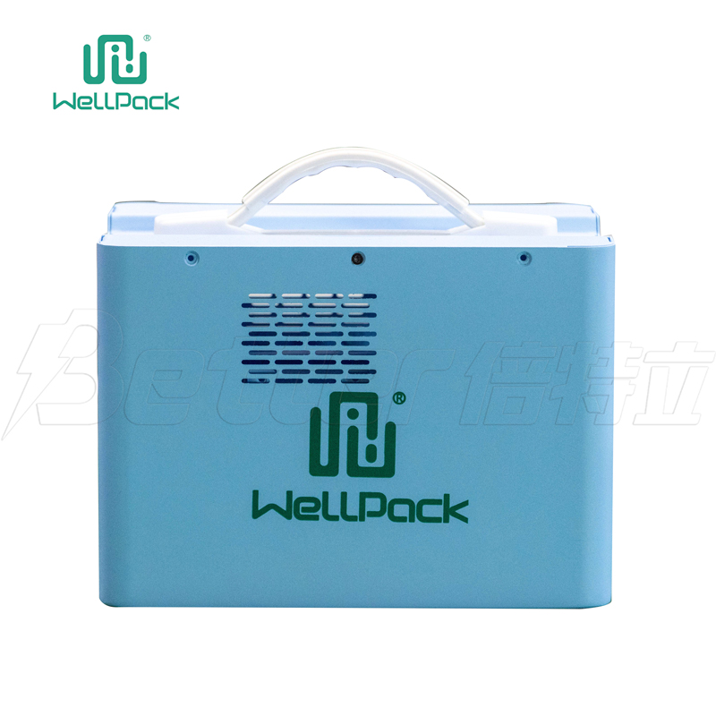 Central eléctrica portátil de 600w/alimentación para camping (WPP 600)