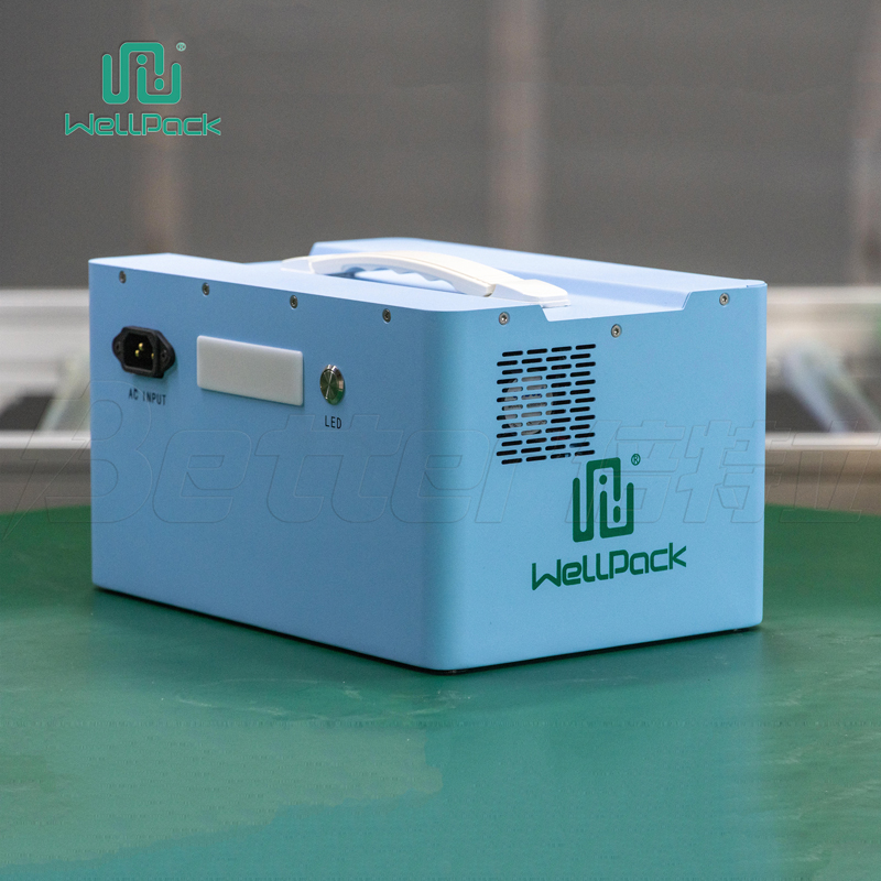 Central eléctrica portátil de 600w/alimentación para camping (WPP 600)