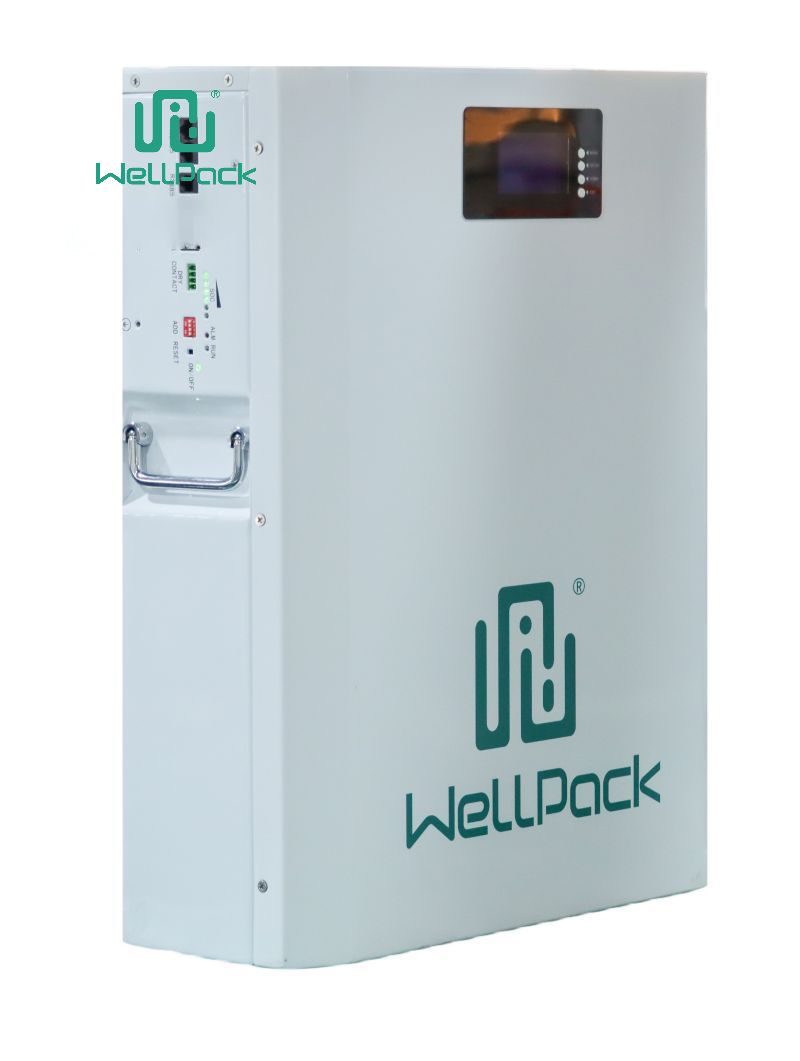 Sistema de almacenamiento de energía de pared para el hogar WPH05W-01