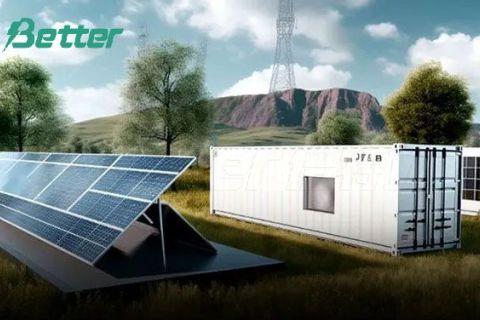 The lowest bidder wins the order. Is energy storage unprofitable or does it have amazing gross margins?