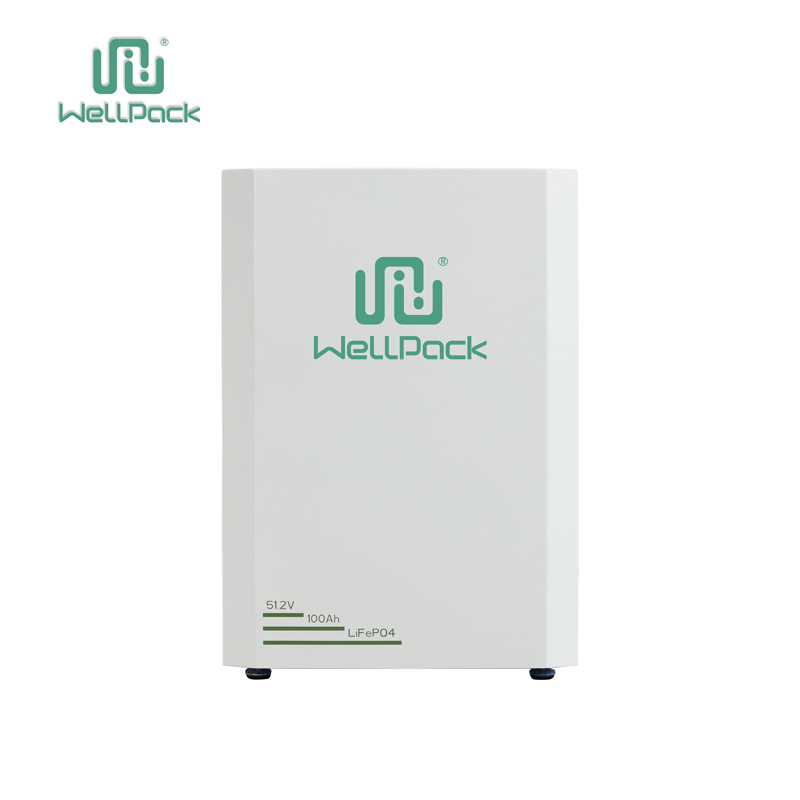 Sistema de almacenamiento de energía de pared para el hogar WPH05W-01