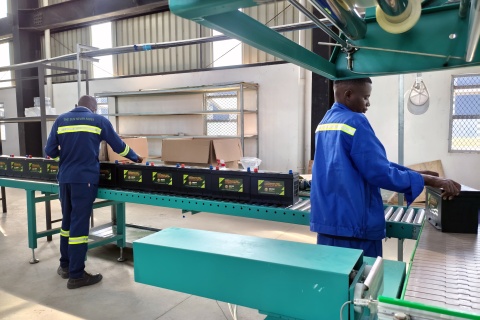 Analisi del settore delle batterie al piombo per autoveicoli nel 2026