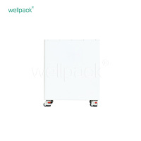 Haushaltsenergiespeicherbatterie WPH10F-01