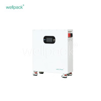 Haushaltsenergiespeicherbatterie WPH10F-01