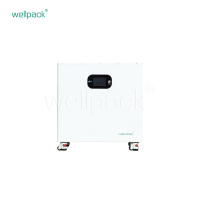 Haushaltsenergiespeicherbatterie WPH16F