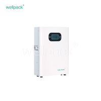 Household Energy Storage Battery WPH05W