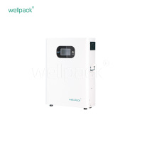 Household Energy Storage Battery WPH05W