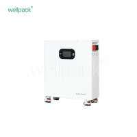 Haushaltsenergiespeicherbatterie WPH10F-01