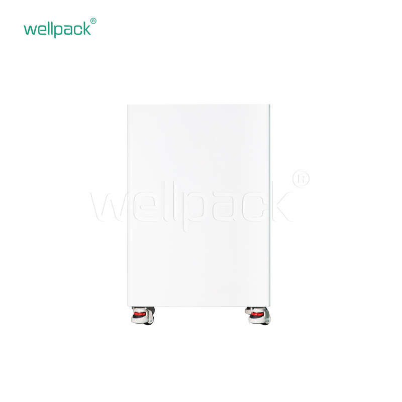 Système intégré de stockage d'énergie domestique WPT05-01