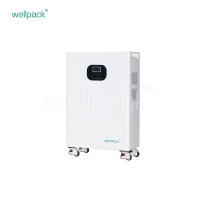 Système intégré de stockage d'énergie domestique WPT05-01