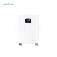 Système intégré de stockage d'énergie domestique WPT05-01