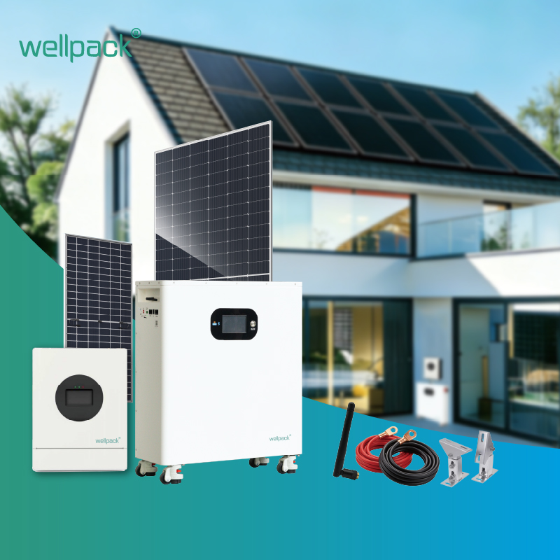 Batería de almacenamiento de energía doméstica WPH10F-01