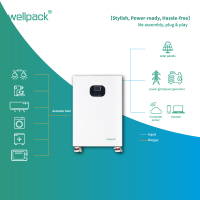 Système intégré de stockage d'énergie domestique WPT05-01