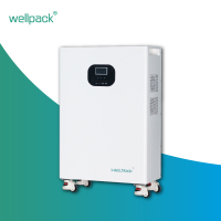 Système intégré de stockage d'énergie domestique WPT05-01
