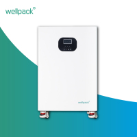 Système intégré de stockage d'énergie domestique WPT05-01