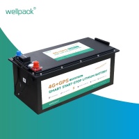 4G+GPS Smart Start-Stop Литиева батерия P5200s Pro