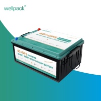 4G+GPS Smart Start-Stop литиева батерия P8000 Pro
