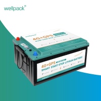 4G+GPS Smart Start-Stop литиева батерия P8000 Pro