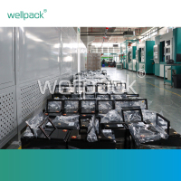 Lead-acid to Lithium Battery Replacement WPG12200-01